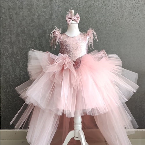 Blush Pink Flower Girl Dress: Sequin Tulle Tutu, Party Dress