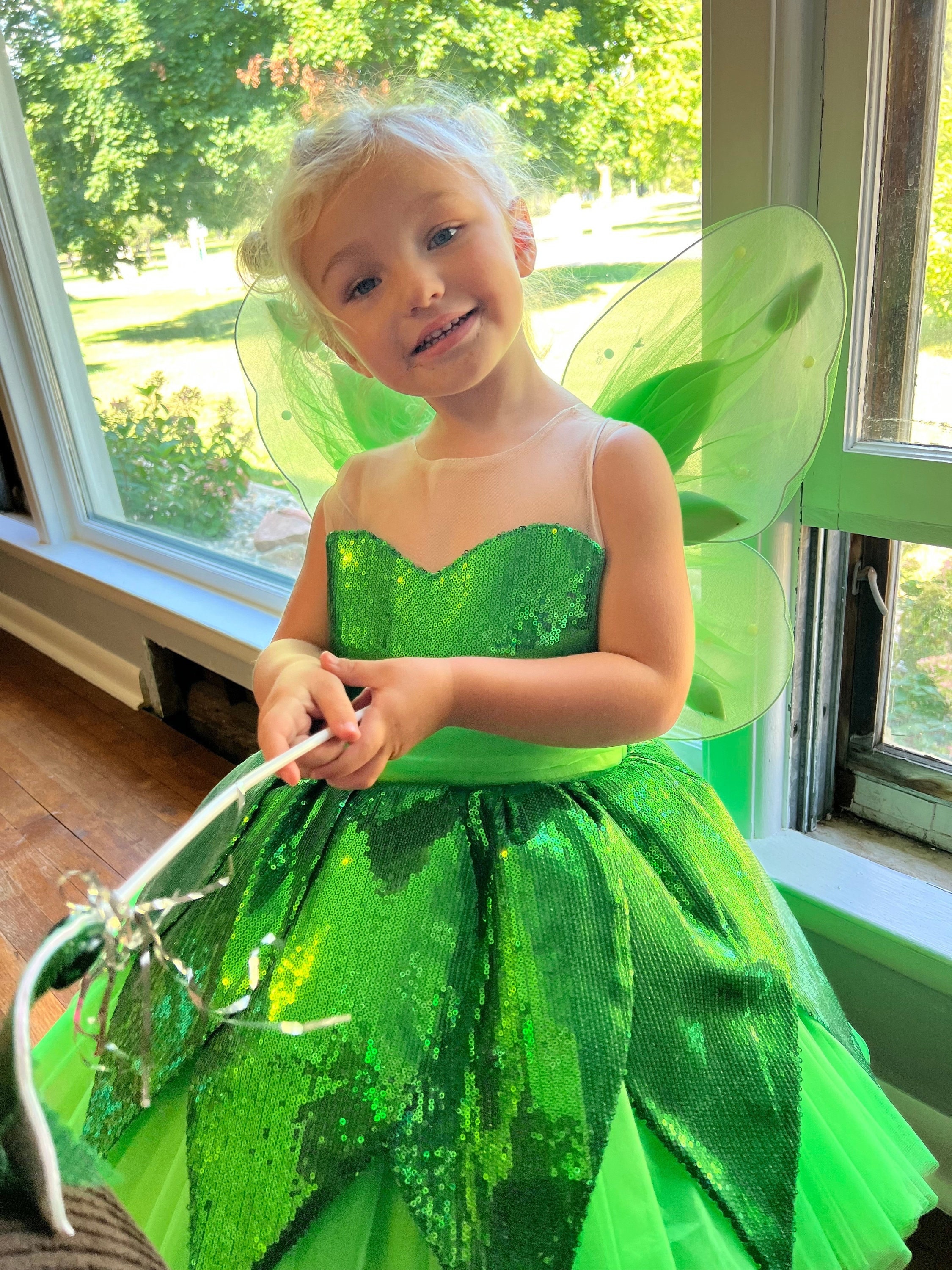 Tinkerbell Fairy Costume