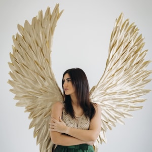 Exquisite Gold Angel Wings | Costume for the Queen and Angels | Adult Size with Photo Props | Regal Gold Wings