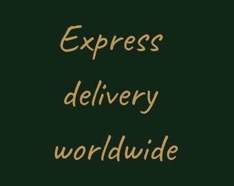 Express delivery worldwide