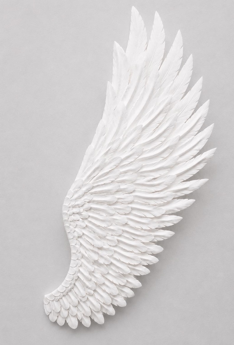 May include: A white, sculpted angel wing with detailed feather textures. The wing is displayed against a light gray background, showcasing the intricate design and form. This decorative piece is ideal for wall decor.