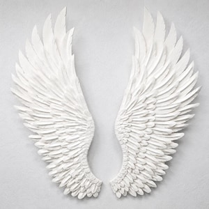May include: A pair of white, textured angel wings, displayed against a light gray background. The wings are detailed with individual feathers, creating a sense of depth and dimension. The artwork is symmetrical and evokes a sense of peace.