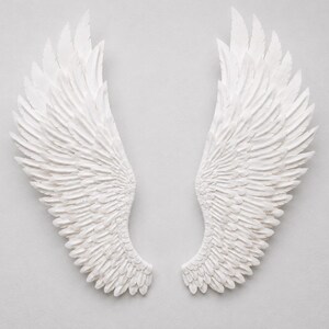 May include: A pair of white, textured angel wings, displayed against a light gray background. The wings are detailed with individual feather impressions, creating a sense of depth and realism. The wings are symmetrical and appear to be made of a solid material.