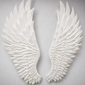 May include: Two large, white, sculpted angel wings. The wings are displayed side-by-side, with intricate feather detailing. The wings are a bright white color and appear to be made of a solid material.