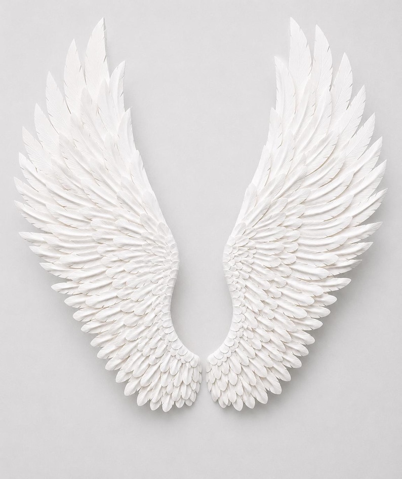 May include: A pair of white, textured angel wings, displayed against a light background. The wings are detailed with individual feather patterns, creating a sense of depth and realism. The wings are symmetrical and appear to be made of a solid material.