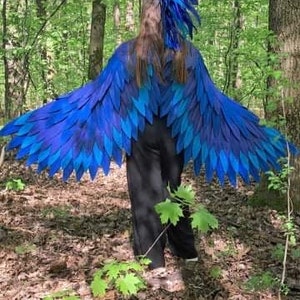 Blue and Light Blue Parrot Costume Wings for Dance New Other - Etsy