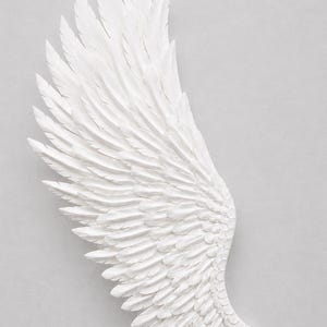 May include: A white, sculpted wing with detailed feather textures. The wing is positioned diagonally against a light gray background, creating a sense of depth and dimension. This decorative piece evokes themes of angels and freedom.