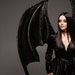 Large Bat Wings | Black Dragon Wings | Bat Wings Cosplay for Halloween ...