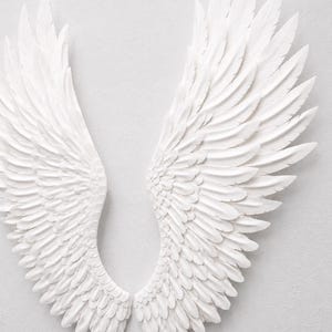 May include: A pair of white, sculpted angel wings, displayed against a light gray background. The wings are detailed with layered feathers, creating a textured and dimensional effect. The wings are symmetrical and spread open.