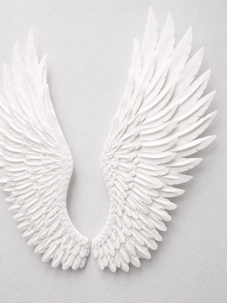 May include: A pair of white, sculpted angel wings, displayed against a light gray background. The wings are detailed with layered feathers, creating a textured and dimensional effect. The wings are symmetrical and spread open.