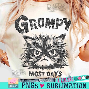Gato gruñón divertido PNG Gato divertido Sarcasmo PNG Humor adulto Cita divertida PNG Malhumorado PNG Camiseta vintage Retro de moda SUBLIMACIÓN ORIGINAL