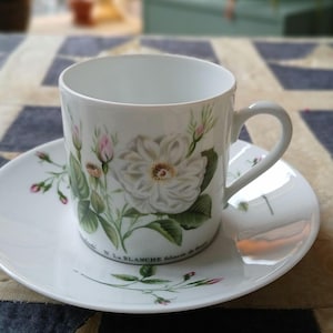 Vintage Hutschenreuther La Blanche Rose Cup & Saucer. Redouté romantic roses Porcelain - refined German Botanical design Perfect condition