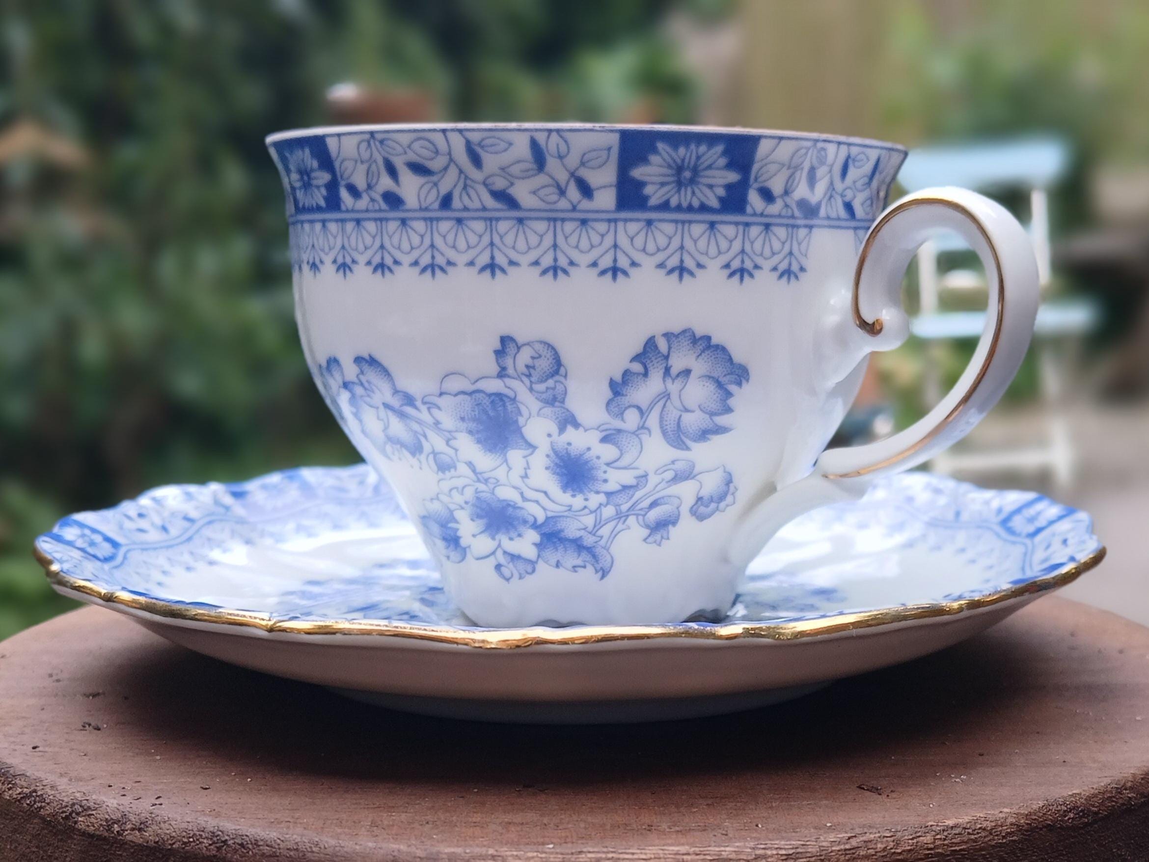 used【 seltmann weiden スーピエール 】 used【 seltmann weiden スーピエール 】 SELTMANN WEIDEN BAVARIA