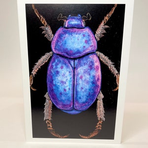 Beetle on Black artist created  blank greeting cards package of 6