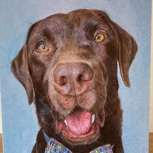 Labrador Birthday Card