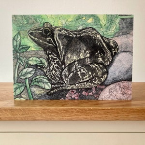 Garden Frog Greetings Card
