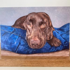 Labrador Dog Greetings Card