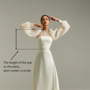 May include: A white satin top with sheer, puffed sleeves. The top is cropped and ends at the waist.