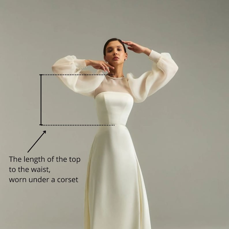 May include: A white satin top with sheer, puffed sleeves. The top is cropped and ends at the waist.