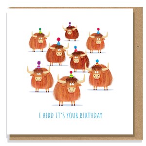 May include: A birthday greeting card featuring cartoon Highland cows wearing party hats. The cows are brown with shaggy fur and stand on a white background. The text "I herd it's your birthday" is written in blue below the cows.