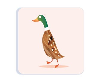 Runner Duck Coaster