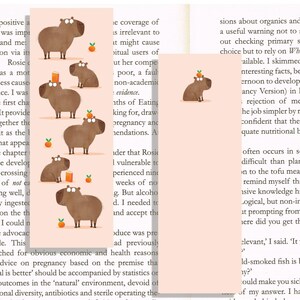 May include: A book with a pink background and a brown capybara illustration. The text on the page reads "The coverage of is irrelevant to it might cause habitual users of ut her compe poor, a fault non-academic evidence. nths of Eating king for, draw pregnancy and mendations. A nder that Rosie I vulnerable to perienced nine weeks of no g. But alcoho d. I needed to and accept the oduce was pre ad previously",  The book is about pregnancy and health reasons.