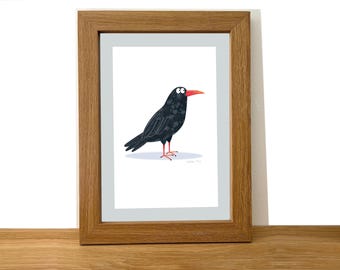 Cornish Chough Art Print