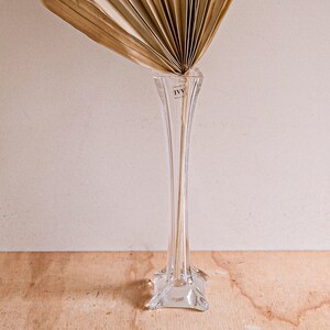 May include: A clear glass vase with a tall, slender design and a star-shaped base. The vase is empty and has a label that reads "IVY".