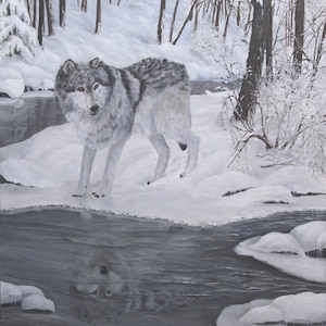Lone Wolf Giclee Print: Collectible Animal Art Reproduction