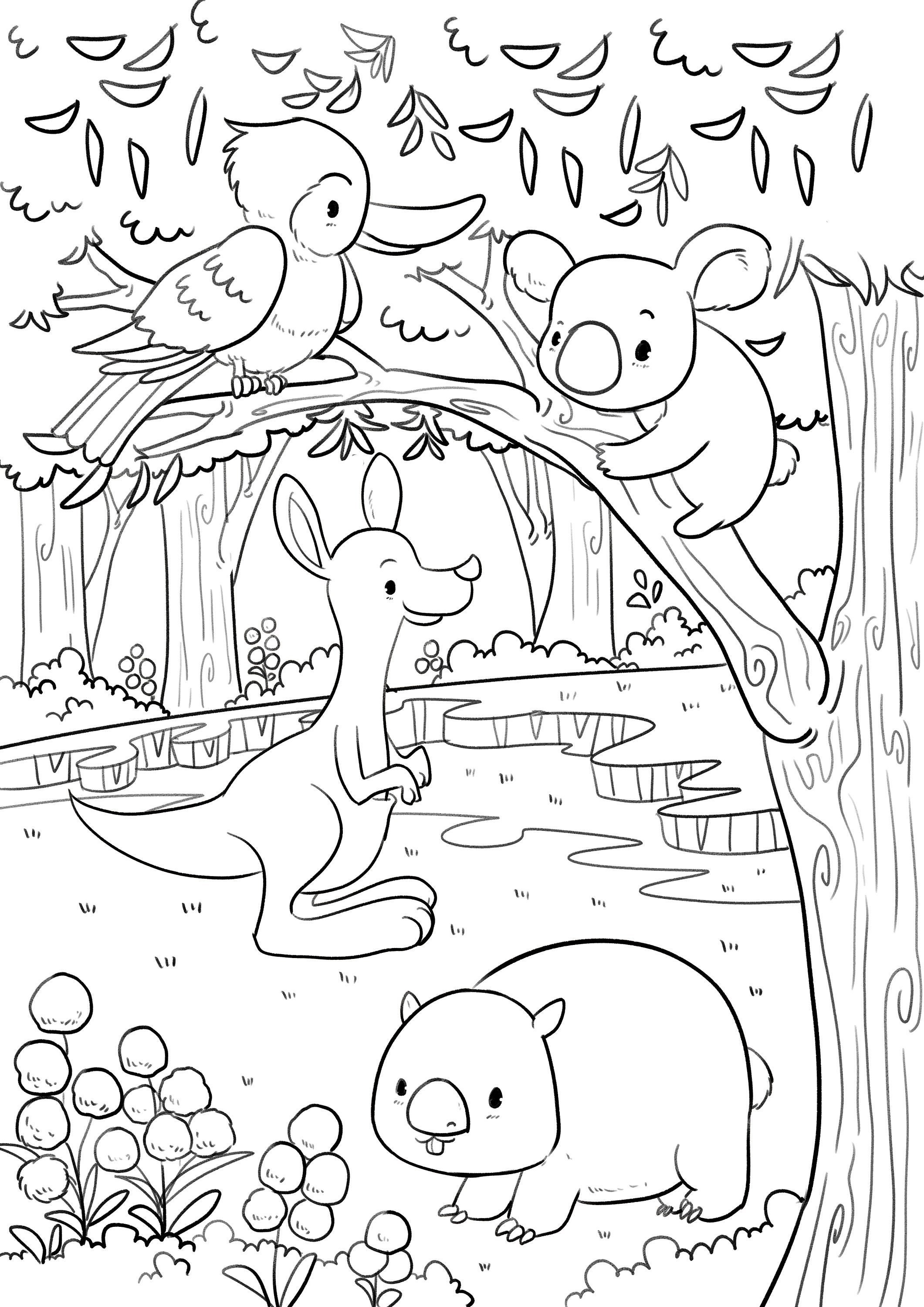 Australian Native Animal Colouring in Digital Download Page - Etsy