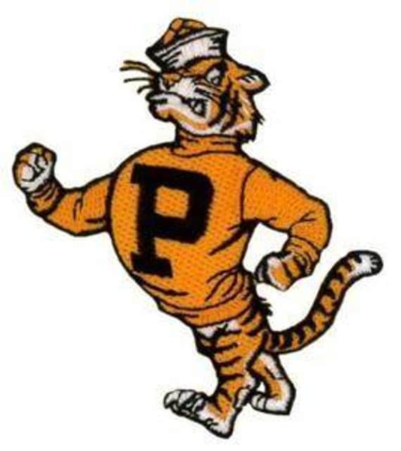 Princeton University Tiger Mascot Iron on Embroide