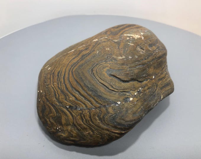 Brown Banded Rocks Medium High Magnetic 1lb 5oz Banded Iron Formation, Genesis Stone ...