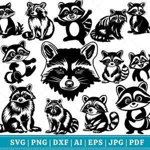 Ensemble SVG raton laveur – Raton laveur paix signe v drôle de raton laveur Cricut & Sublimation | Citations d'animaux mignons PNG SVG Clipart