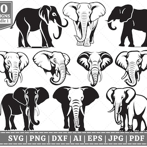 Paquete SVG de elefante / Silueta de elefante SVG / Elefante SVG / Amante del elefante svg / Diseños de elefantes svg / Archivo de corte Cricut / Sublimación