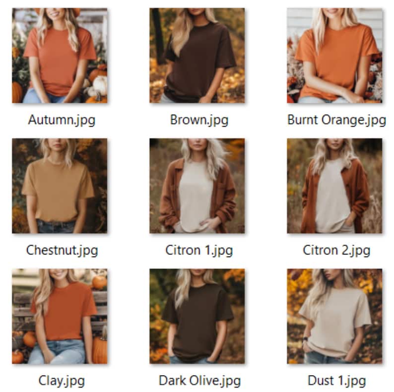 Op de afbeelding: Een verzameling van negen afbeeldingen die verschillende kleuren van een basic t-shirt laten zien. De t-shirts zijn allemaal met korte mouwen en een ronde hals. De kleuren omvatten herfst, bruin, gebrand oranje, kastanje, citroen, klei, donker olijf en stof.