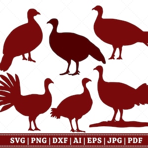 Truthahn Schmuck - Tier Schmuck - Truthahn Silhouette - Wilder Truthahn Schnittdateien - Truthahn Bündel - Truthahn Clipart - Truthahn Design SVG - Truthahn Vektor