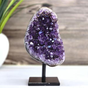 May include: A large, polished amethyst geode, showcasing deep purple crystal formations. The geode is mounted on a black metal stand, creating a striking display. The geode measures approximately 6 inches in height.