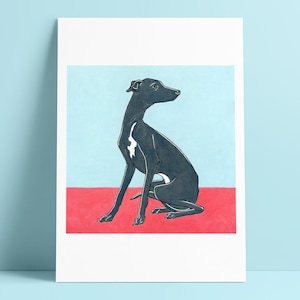 May include: A black and white Italian Greyhound dog sitting on a red background. The dog is looking to the right and has a white patch on its chest.
