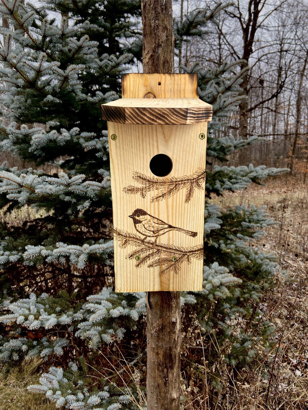 Cedar Birdhouse, Wood Nesting Box for Chickadees and Others, Bird House