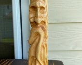 Old Man Pine