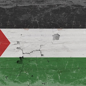 Vintage Palestine Flag Canvas Art: Distressed Wood Style imagem 9