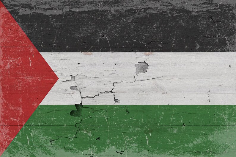 Vintage Palestine Flag Canvas Art: Distressed Wood Style imagem 9