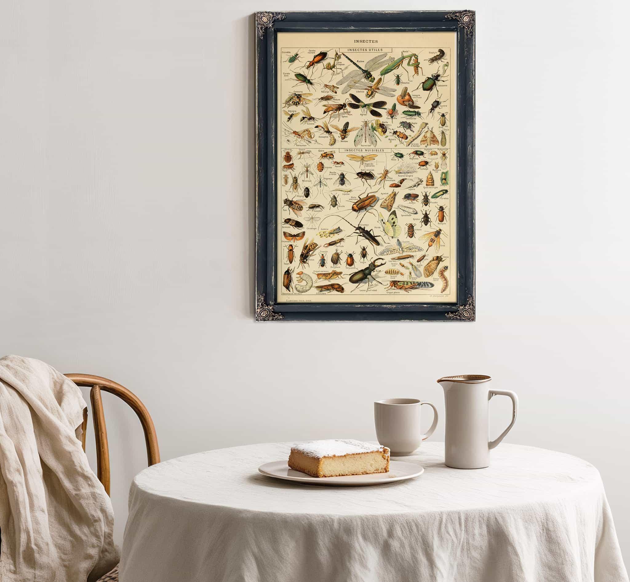 Insects Identification Reference Species Collection Entomology Diagram ...