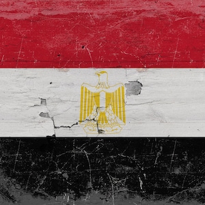 Vintage Egypt Flag Canvas Art: Distressed Wood Style image 9