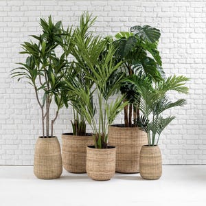 May include: A selection of artificial plants in woven wicker planters. The plants include palm and monstera varieties. The planters are in various sizes and shapes, with a natural colour, set against a white brick wall. The plants are in woven wicker pots.
