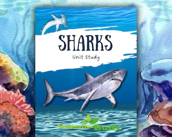 May include: A book cover with the title "SHARKS" and the subtitle "Unit Study" against a blue ocean background. The cover features illustrations of a hammerhead shark and a great white shark. The logo for "Imagination Buds" is at the bottom.