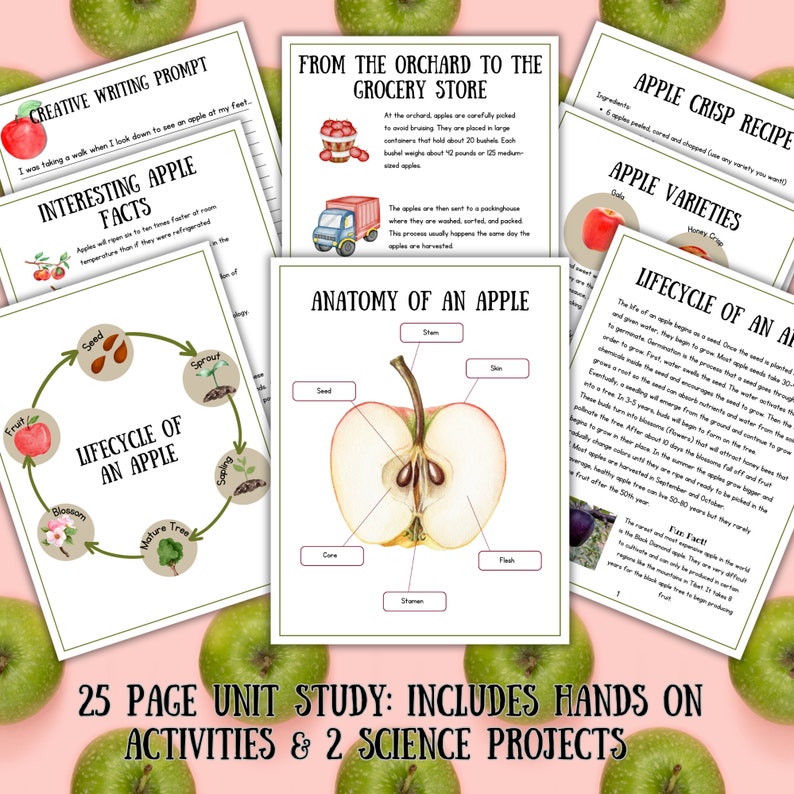 Apple Unit Study, Apple Anatomy and Life Cycle, Homeschool Printable ...