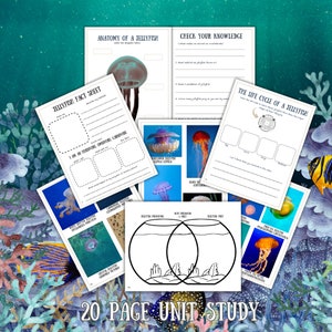 Jellyfish Unit Study, Marine Biology, Science, Digital Download image 4