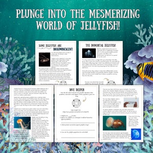 Jellyfish Unit Study, Marine Biology, Science, Digital Download image 2