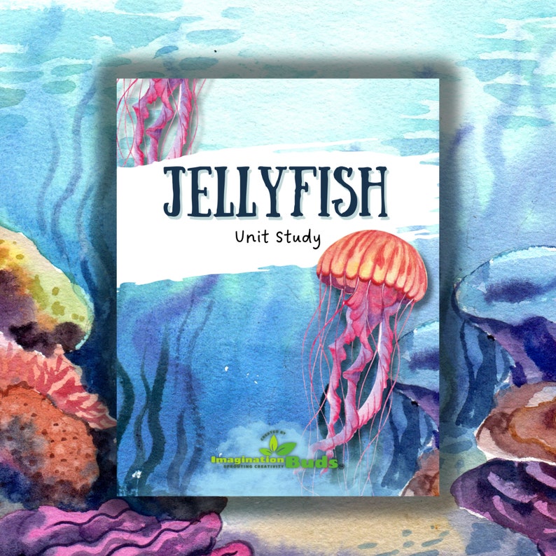 Jellyfish Unit Study, Marine Biology, Science, Digital Download image 1